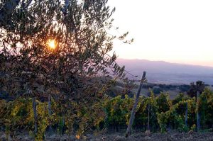 Mit den Großeltern ein Toskana Ferienhaus mieten