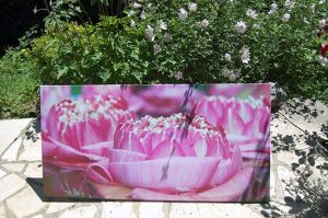 Wandbild selbst gestalten