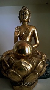 Interviewreihe Yoga Lehrerin