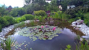 Warum Kinder Märchen brauchen