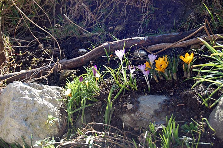 Stille im Frühling