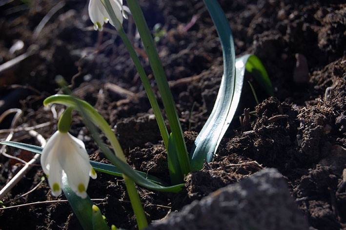 Stille im Frühling: Inspiration Frühling - Frühllingsfarben