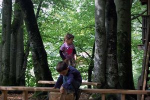 Fotobuch Tutorial Ebbser Zoo