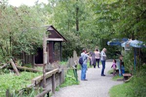 Fotobuch Tutorial Ebbser Zoo