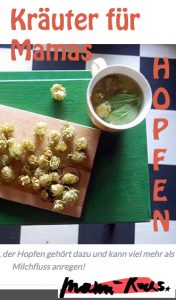 Hopfen: Wichtiges Heilkraut für Mamas