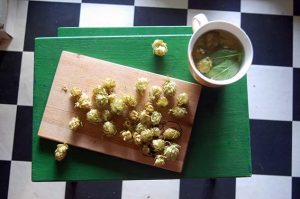 Kräuter für die Mama: Hopfen