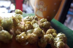 Kräuter für die Mama: Hopfen
