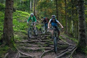 Mountainbiking in Tirol mit Mountain Edge