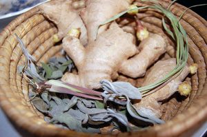 Kräuter fürs Immunsystem