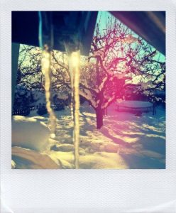 Wochenende in Bildern