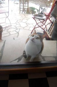 Leben ungeschminkt und unperfekt