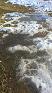 Faschingswochenende in Bildern