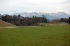 Upcycling im Frühling