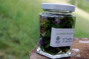 Heilkräuter für die Haut Stiefmütterchen