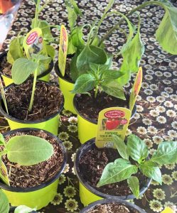 schönes Wochenende in Bildern