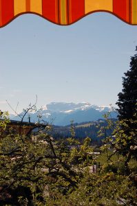 Gartenarbeit und Vorbereitungen fürs Hochbeet