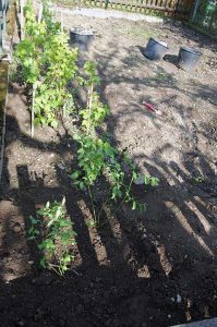 Gartenarbeit und Vorbereitungen fürs Hochbeet