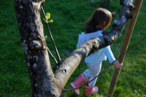 Gartenarbeit und Vorbereitungen fürs Hochbeet
