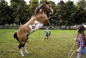 Hanni und Nanni im Kino