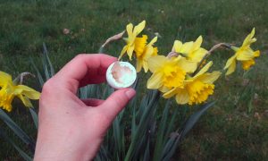 Ich schreibe Kinderbücher - Interview mit Kinderbuchautorin Sandra Schindler