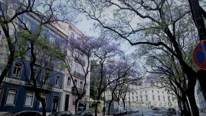 Komfortzone verlassen - die Weltentdecken - Lissabon Portugal