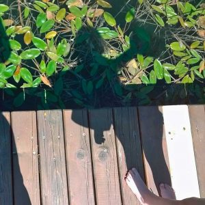 Badesaison ist eröffnet