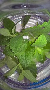 wills du umweltbewusst leben? Regionale Ernährung - Melissenwasser selber machen!