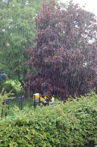 Regenwetter? Wir lesen gute Fantasy für Kinder!