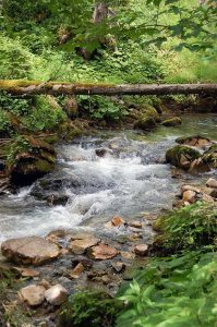 Zusammenhalt in der Familie