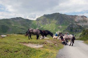 Zusammenhalt in der Familie