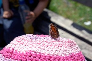 Ausflug in die Berge für familien mit kleinen Kindern: Gießenbachklamm und Schopper Alm