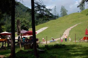 Ausflug in die Berge für familien mit kleinen Kindern: Gießenbachklamm und Schopper Alm