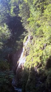 Ausflug in die Berge für familien mit kleinen Kindern: Gießenbachklamm und Schopper Alm