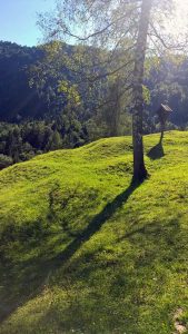 Ausflug in die Berge für familien mit kleinen Kindern: Gießenbachklamm und Schopper Alm