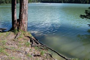Wandern am Hechtsee