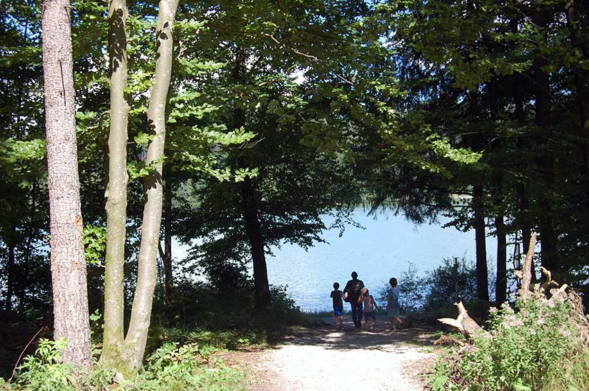 Wandern am Hechtsee