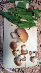 Spielen im Wald: für Naturkinder und alle, die es sein wollen