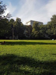 Friedrichshain mit Kind: Insider Tipps