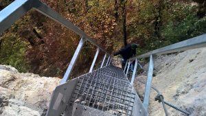 Wanderung zum Grafenloch: Achtung Trittsicherheit erforderlich!