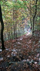 Wanderung zum Grafenloch: Achtung Trittsicherheit erforderlich!