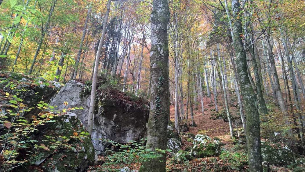 Herbst mit Kindern: Wanderung zum Grafenloch: Achtung Trittsicherheit erforderlich!