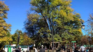 Beste Biergarten mit Kindern in München
