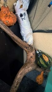 Halloween mit Kindern: Halloween Deko aus Müll basteln