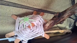 Halloween mit Kindern: Halloween Deko aus Müll basteln