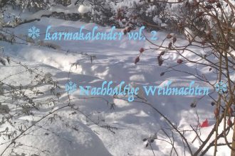 Der Karmakalender 2017: grün, plastikfrei, frei - Ideen für nachhaltige Weihnachten