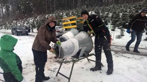 Christbaum selber schlagen: Hol Dir Deinen Tannenbaum aus dem Wald