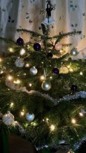 Weihnachten im Wald und am Skihang: Warten auf`s Christkind