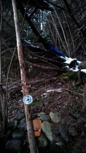 Weihnachten im Wald und am Skihang: Warten auf`s Christkind