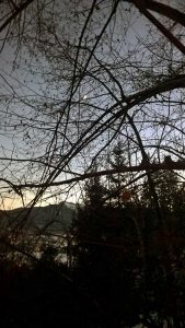 Weihnachten im Wald und am Skihang: Warten auf`s Christkind