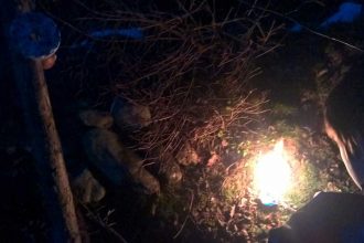 Weihnachten im Wald und am Skihang: Warten aufs Christkind